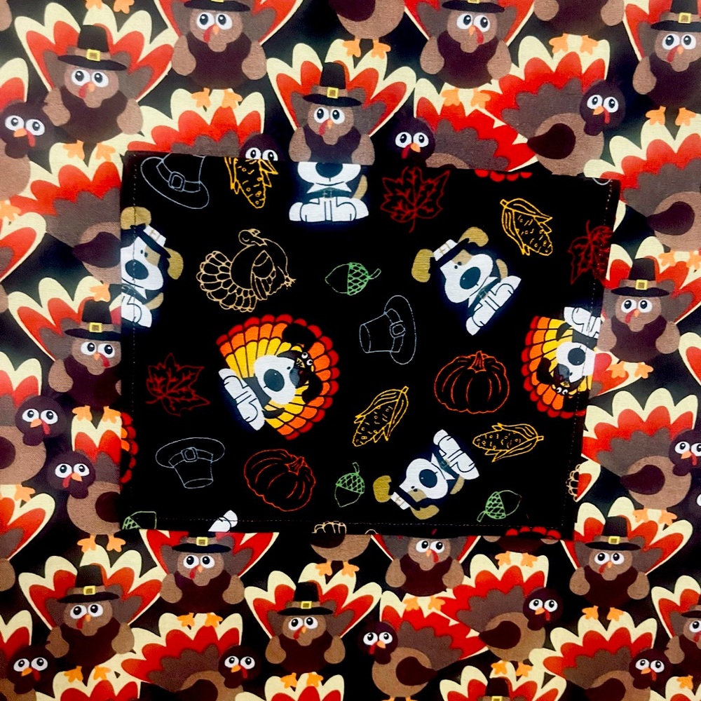 THANKING ADULT APRON